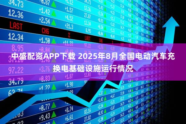 中盛配资APP下载 2025年8月全国电动汽车充换电基础设施运行情况