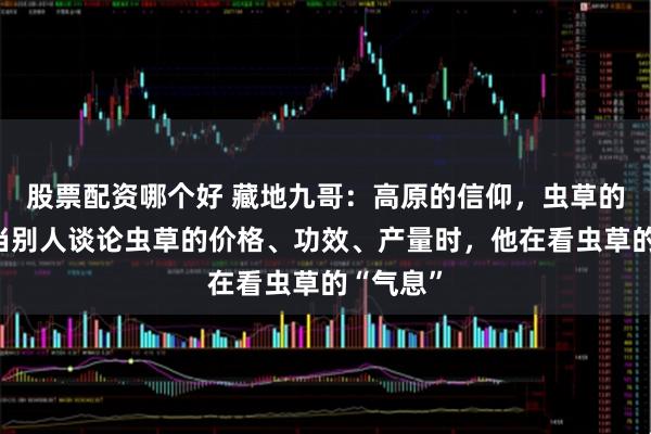 股票配资哪个好 藏地九哥：高原的信仰，虫草的王者，当别人谈论虫草的价格、功效、产量时，他在看虫草的“气息”