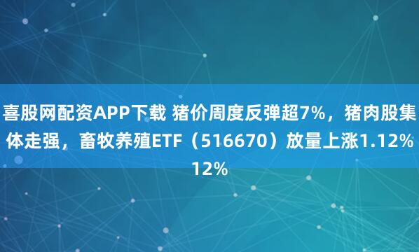喜股网配资APP下载 猪价周度反弹超7%，猪肉股集体走强，畜牧养殖ETF（516670）放量上涨1.12%